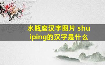 水瓶座汉字图片 shuiping的汉字是什么